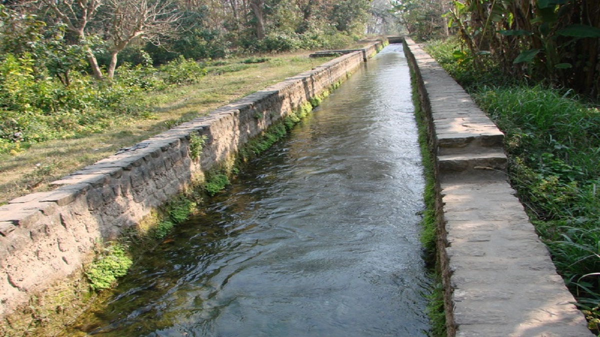 Boar Canal